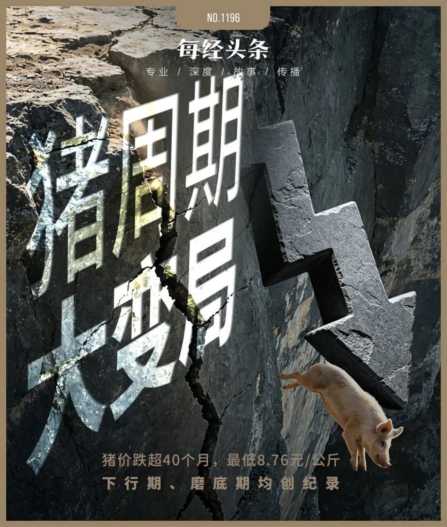 猪价创17年新低，养猪的逻辑彻底变了！专家：猪周期已变形，“地板价”不会再现，反转拐点也不会来